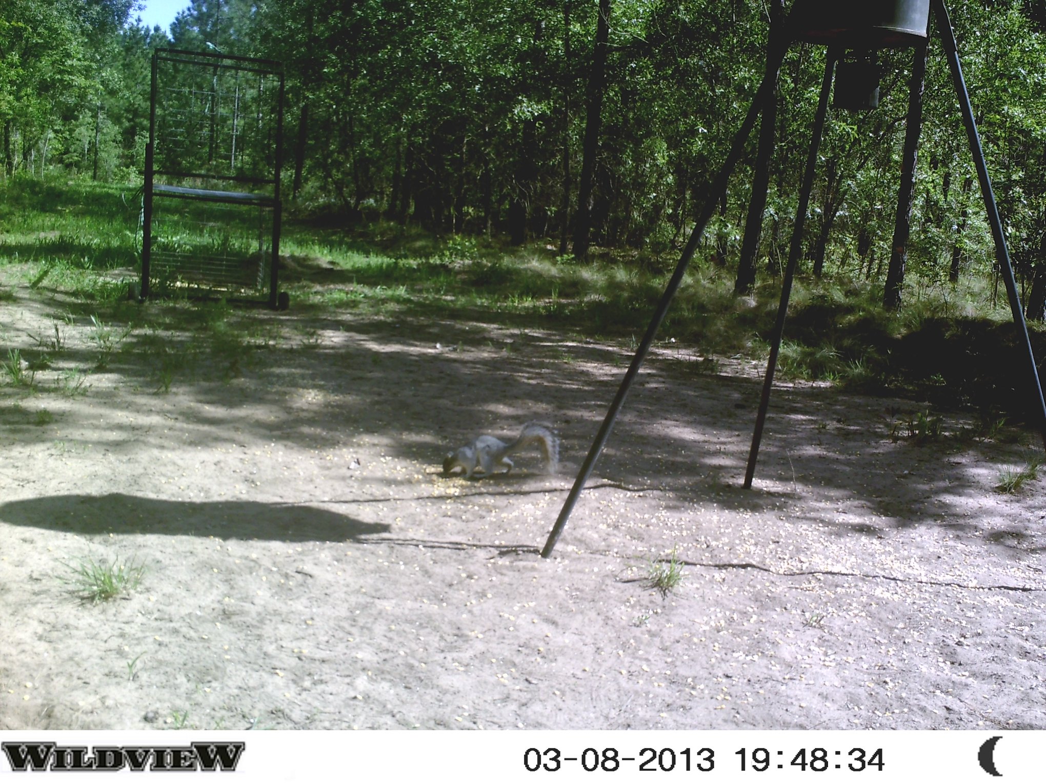 Home Available Land Contact